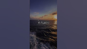 قران كريم بصوت جميل القارئ ماهر المعيقلي