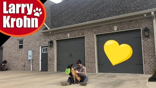 Creating The Best Relationship With Your Dog