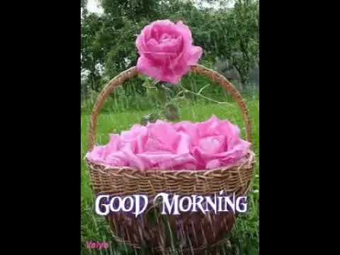Sonu Singh Sinsinwar Faujdar