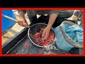 初めてのYouTuberのオフ会で#金魚販売
