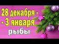 РЫБЫ ✨ неделя с 28 декабря по 3 января. Таро прогноз гороскоп