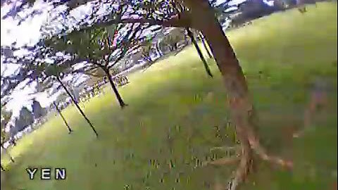 qav-x 210 cobra gold 2205 2500kv new pid setup