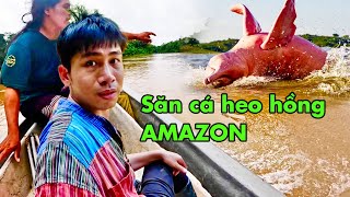 Săn CÁ HEO HỒNG trên sông Amazon
