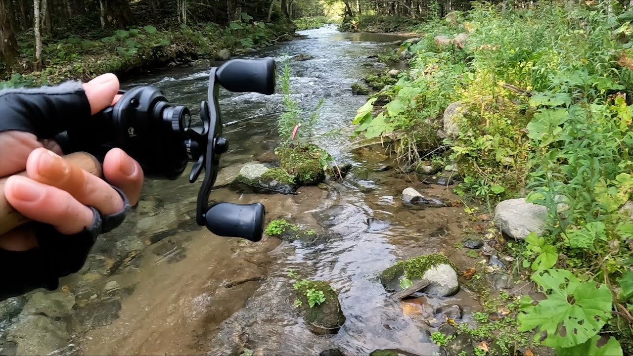 秋深まる上流域、移ろう季節の中で出会う美しい虹鱒