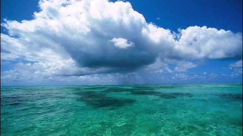 سورة الأنفال .. الشيخ وليد عاطف