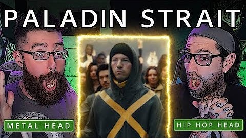 WHAT IS GOING ON!? | PALADIN STRAIT | TWENTY ONE PILOTS