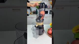 Apple juice 🍎 Fresh juice lovers 🌿 Automatic slow press juicer