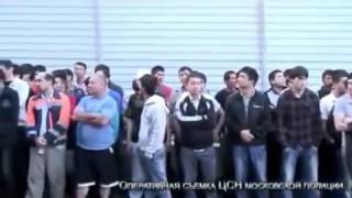 Массовое задержание в Москве: 1380 нелегальных мигрантов в одном только месте