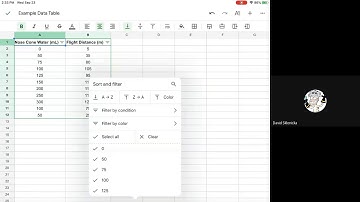 iPad - Sort Data in Google Sheets