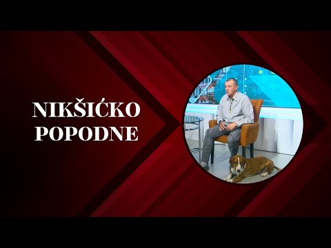 NIKŠIĆKO POPODNE: Zvezdan Vulanović - uzgajivač pasa 29. 4. 2024.