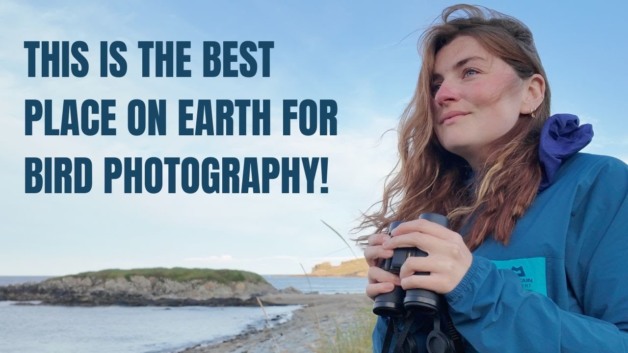 This is the BEST place on Earth for bird photography! 🌎 📸
