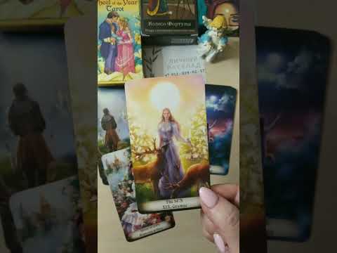 ладодея таро ютуб