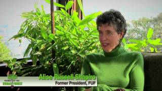 An Urban Forest Legacy