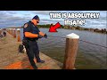 Police Confiscate The Most Gut Wrenching Murder Evidence EVER Found Magnet Fishing!!!