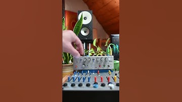 The Aux Card expands the Buchla Easel Command with powerful modulation and advanced options. #synth