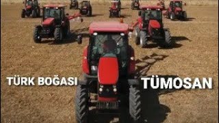 Türk Boğası Tümosana Özel Full Video