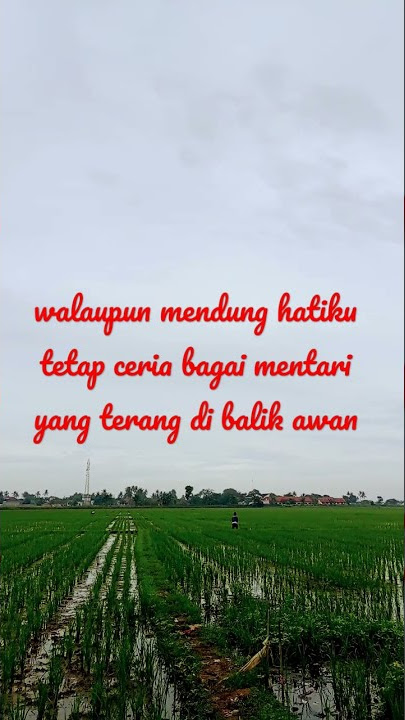 puisi pagi hari#shorts #shortsvideo
