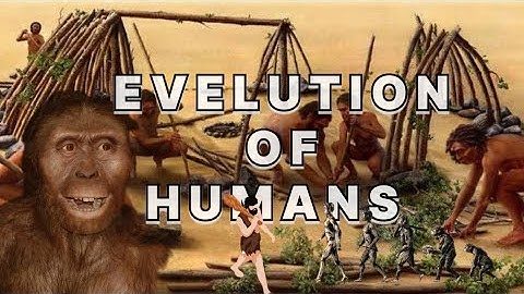 QADEEEM INSAAN   #wanishvlogs #dhruvrathee @dhruvrathee  @ZemTV.Official