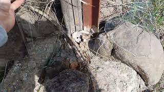 Polikarbon Mu Sağlam ? Pleksi Mi Sağlam ?