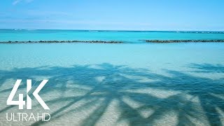 8 HOURS Ocean Beach Ambience Sound - 4K Gentle Lapping Waves - Shadows of Palms