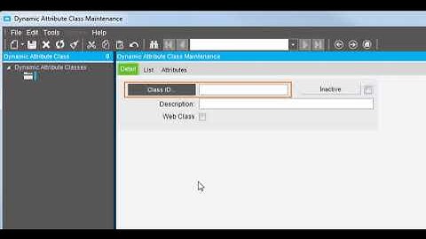Creating Dynamic Attribute Classes - SALES MANAGEMENT | Epicor Look & Feel | Epicor ERP