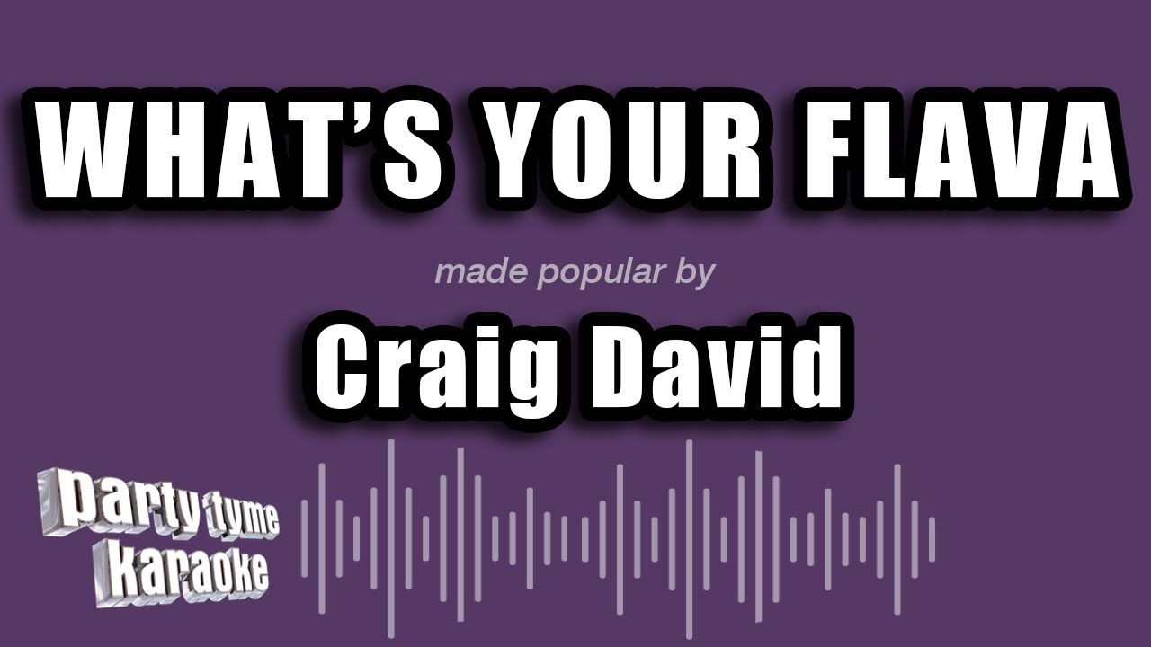 Craig David - What's Your Flava (Karaoke Version)