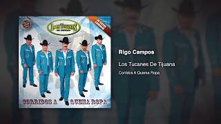 Video thumbnail of "Rigo Campos - Los Tucanes De Tijuana [Audio Oficial]"