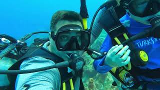 T&C dive compilation