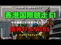 【阪神JF🇯🇵の中央競馬WIN5&香港国際🇭🇰の全レース予想やるんかい!】阪神2歳牝馬G1と香港G1の4レース予想ライブ 📱
