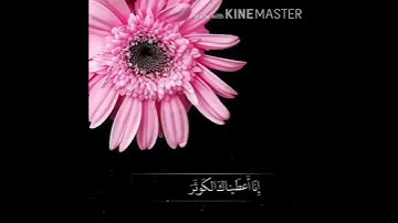 سورة الكوثر أريح قلبك القارئ ماهر المعيقلي || حالات واتس اب مقاطع قصير انستغرام مقاطع قصير استوري
