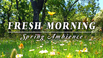 🌿🌞Begin Your Day with the POSITIVE ENERGY of Healing Spring Sounds🌿Fresh Morning Ambience Meditation