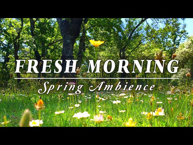 🌿🌞Begin Your Day with the POSITIVE ENERGY of Healing Spring Sounds🌿Fresh Morning Ambience Meditation class=