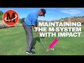 Maintaining the msystem with impact  practice daily