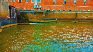This HIDDEN IOWA SPILLWAY Was LOADED!!! (NON-STOP ACTION!!)