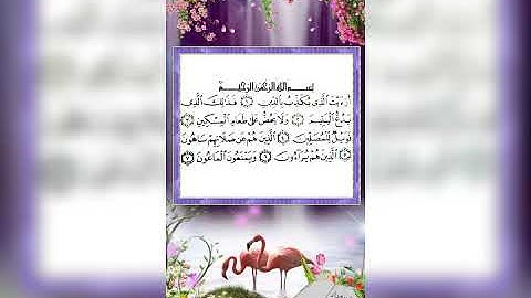 القرآن الكريم سورة الماعون    بصوت حسين الجسمي