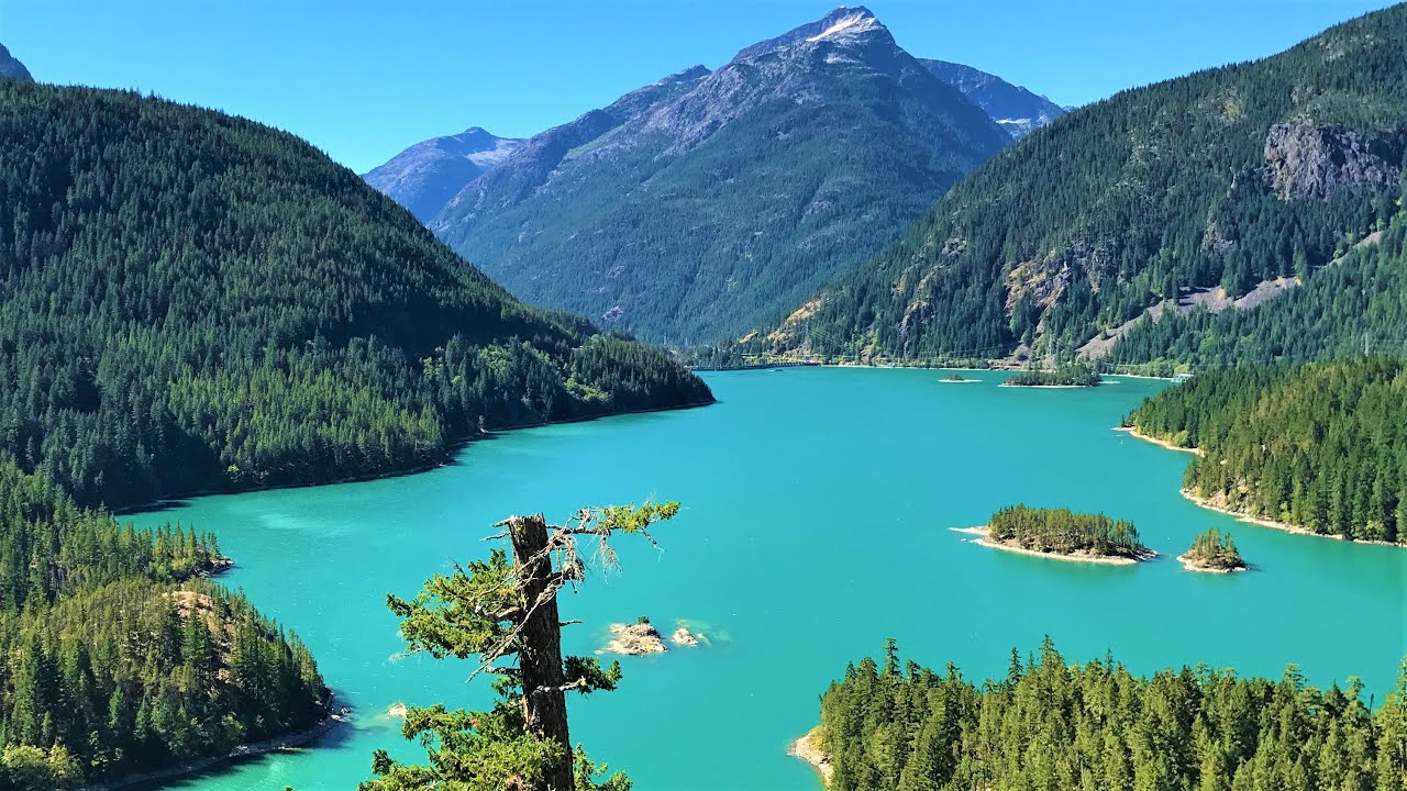 Are Dogs Allowed At Diablo Lake?