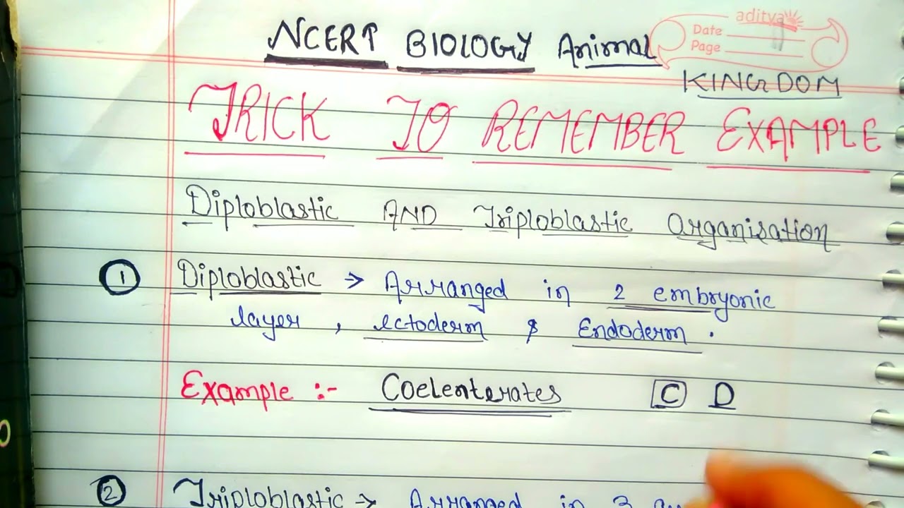 Animal Kingdom Trick To Remember Examples #biology #video - YouTube