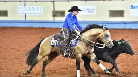 A Judge's Perspective: 2017 AQHA World Junior Work...