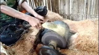 cara membuat cocofiber atau serat sabut kelapa#bahan untuk membuat sapu