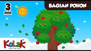 Lagu Anak Indonesia | Bagian Pohon | TK dan PAUD