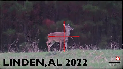 LINDEN, AL 2022 / MITCHELL PLACE LODGE