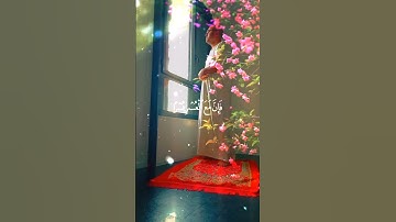 💚القرآن الكريم ❤️ سورة الشرح 🎧راحة نفسية