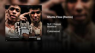 Blueface - Shotta Flow (Remix) (OG/Demo edit)