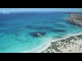 Great australian bight taxpayers would have to subsidise oil spill cleanups chevron says