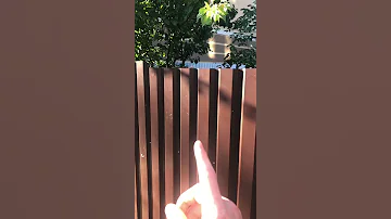 ✅ Как правильно☝️ловить стрекоз и бабочек 🦋 не травмируя их психику 😂