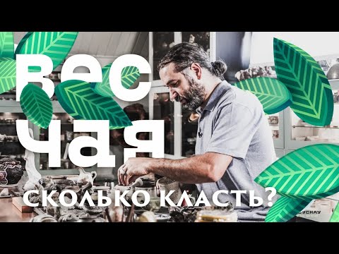 Дозировка чая. Сколько пить и как заварить. Азбука Чая