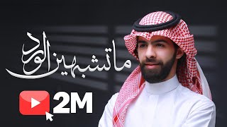 ماتشبهين الورد ||  معاذ الجماز 2019 || النسخة الاصلية حصري