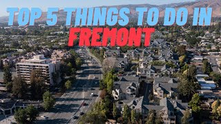 Top 5 Things to Do in Fremont, California