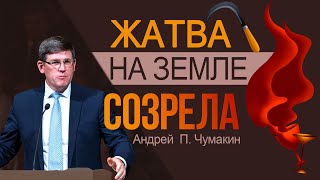 Жатва на земле созрела 👤 Андрей  П. Чумакин  📖 Отк. 14:14-20 #AndreyChumakin