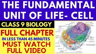 FUNDAMENTAL UNIT OF LIFE | CELL | CHAPTER 5 | CLASS 9 CBSE | FULL CHAPTER